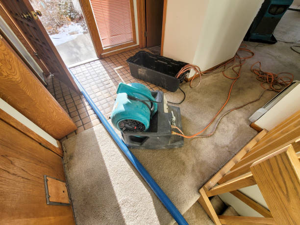 Water damage restoration mold remediation in IN