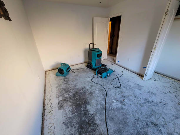 Best Local water damage restoration  in Lawrence, IN
