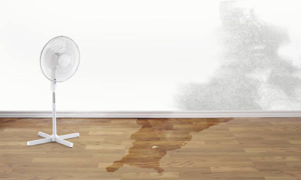 24/7 water damage repair in IN