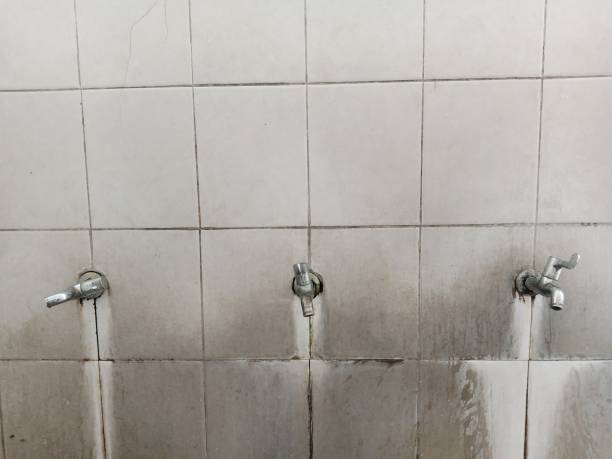 Best Water damage contractors near me  in Lawrence, IN