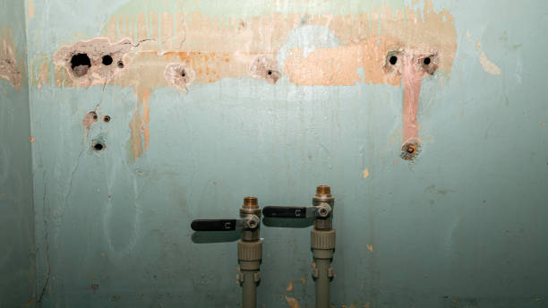 Best Water damage restoration near me  in Lawrence, IN