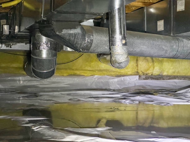 Best Carpet water damage restoration  in Lawrence, IN