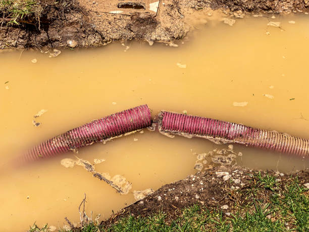 Best Water damage restoration cost  in Lawrence, IN